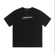 Schwarz Small print