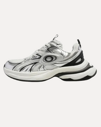 Silber